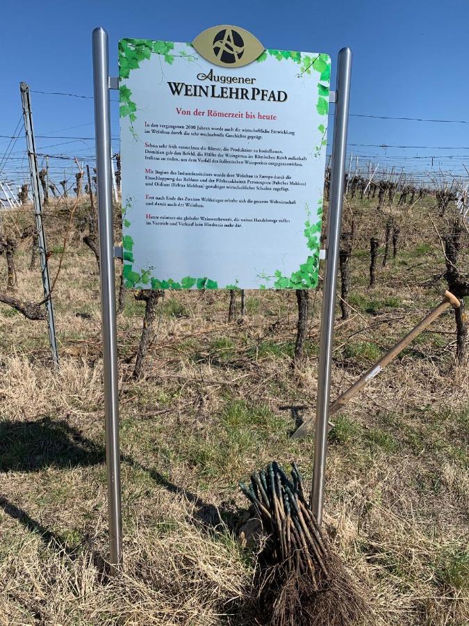 Ruedlins-Winzerhof Auggen Exterior foto