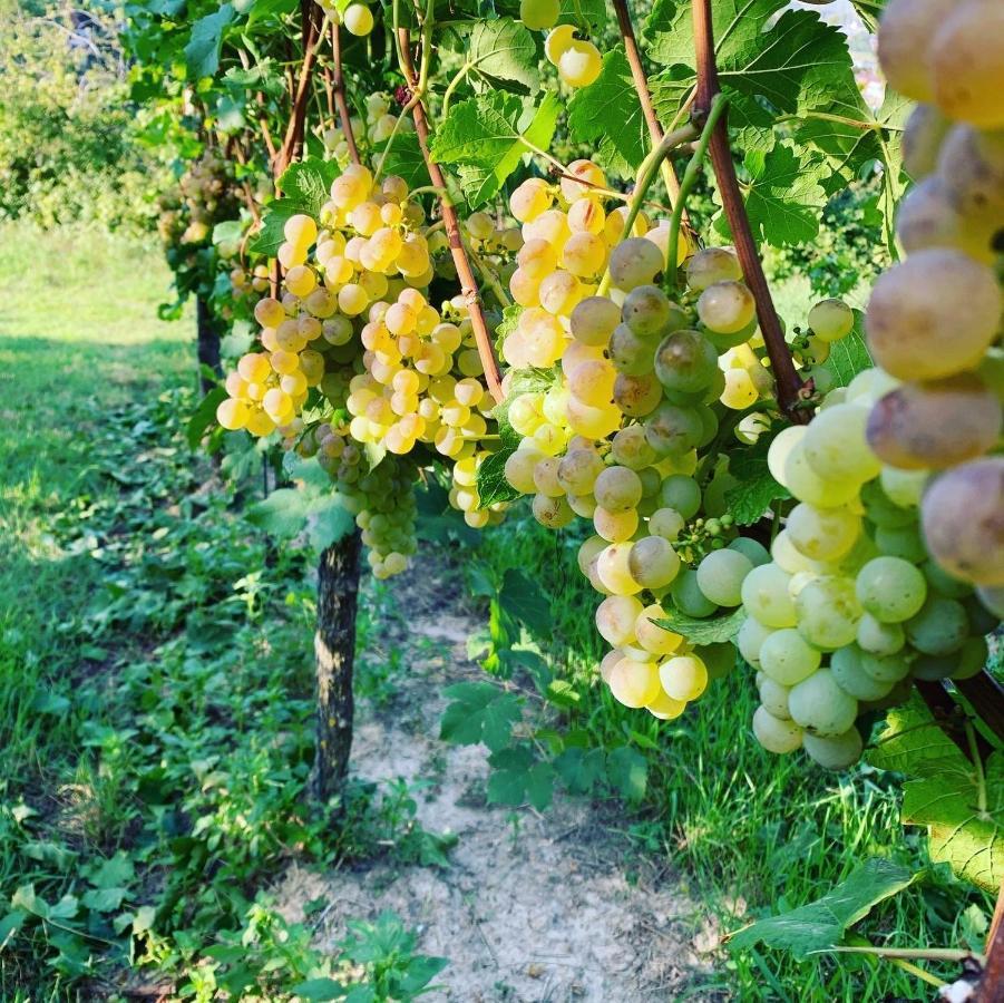 Ruedlins-Winzerhof Auggen Exterior foto